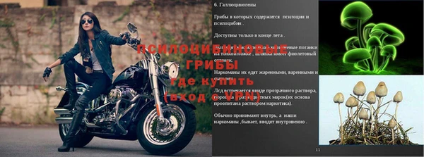 марки nbome Алзамай